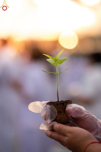 ภาพ No.52537:ประมวลภาพวันคล้ายวันเกิดครบรอบ 138 ปี พระมงคลเทพมุนี (สด จนฺทสโร) พระผู้ปราบมาร ชุดที่ 2