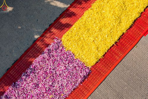 ภาพ No.41679:ประมวลภาพธรรมยาตรา ปีที่ 10  ประจำวันที่ 8 มกราคม พ.ศ. 2565