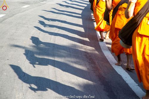 ภาพ No.39951:คณะพระภิกษุ - สามเณร วัดบ้านขุนกว่า ๓๐๐ รูป เดินธรรมยาตราฉลองแชมป์บาลี ๒๕๖๔