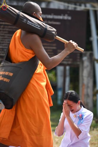 ภาพ No.129060:พระธรรมยาตราเดินธรรมยาตรา ณ ชุมชนรอบศูนย์ปฏิบัติธรรมภาคใต้ อ.บางกล่ำ จ.สงขลา วันที่ 10 มีนาคม พ.ศ. 2567