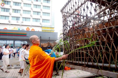 ภาพ No.238226:วันเสาร์ที่ 9 สิงหาคม พ.ศ. 2568 พิธีไถ่ชีวิตโค-โคท้อง 162 ตัว ณ ใจกลางนครหาดใหญ่ จ.สงขลา