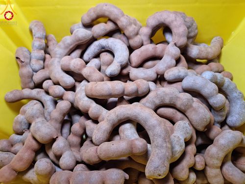 ภาพ No.113685:พิธีถวายภัตตาหารเป็นสังฆทาน แด่คณะพระธรรมยาตรา ปีที่ 12 วันที่ 17 มกราคม พ.ศ. 2567 ณ วัดโบสถ์(บน) บางคูเวียง จ.นนทบุรี