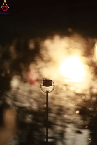 ภาพ No.109631:พิธีจุดประทีปถวายเป็นพุทธบูชา และบูชาธรรมมหาปูชนียาจารย์ วันที่ 10 มกราคม พ.ศ. 2567 ณ อนุสรณ์สถานคลองบางนางแท่น อ.สามพราน จ.นครปฐม