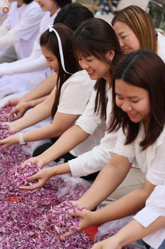 ภาพ No.294972:วันที่ 14 มกราคม พ.ศ. 2569 พิธีต้อนรับพระธรรมยาตรา อนุสรณ์สถานลำดับที่ 4  สถานที่เกิดด้วยกายธรรม ณ วัดโบสถ์บน ต.บางคูเวียง จ.นนทบุรี ในโครงการธรรมยาตรา กตัญญูบูชา มหาปูชนียาจารย์ พระมงคลเทพมุนี(สด จนฺทสโร) พระผู้ปราบมาร อนุสรณ์สถาน 7 แห่ง ปีที่ 14