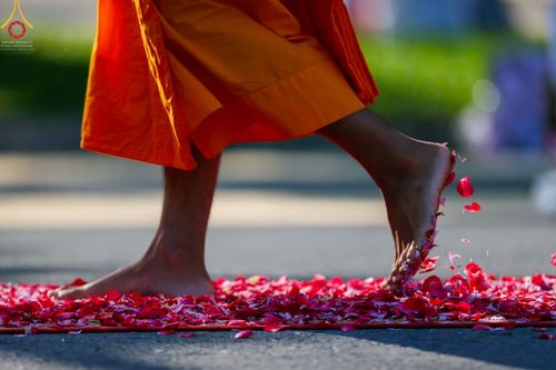 ภาพ No.42591:ประมวลภาพธรรมยาตรา ปีที่ 10  ประจำวันที่ 22 มกราคม พ.ศ. 2565 