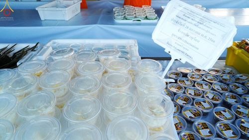 ภาพ No.74689:พิธีถวายภัตตาหารเป็นสังฆทาน แด่คณะพระธรรมยาตราฯ ในโครงการธรรมยาตรากตัญญูบูชา มหาปูชนียาจารย์ พระมงคลเทพมุนี(สด จนฺทสโร) พระผู้ปราบมาร อนุสรณ์สถาน 7 แห่ง ปีที่ 11 วันที่ 28 มกราคม พ.ศ. 2566