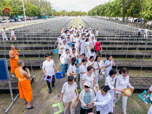 ภาพ No.346866:วันอาทิตย์ที่ 30 สิงหาคม พ.ศ.2569 การปักชำต้นกล้าเบญจทรัพย์ เพื่อเตรียมดอกไม้บูชาธรรม พระเดชพระคุณหลวงปู่ และโปรยต้อนรับพระธรรมยาตรา ปีที่ 15 ณ แปลงปลูก B ปทุมเจดีย์ วัดพระธรรมกาย
