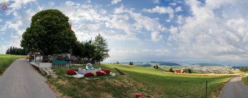 ภาพ No.286217:วันที่ 13 กรกฎาคม พ.ศ. 2568  พิธีทอดผ้าป่าฉลอง 13 ปี  วัดพระธรรมกายสวิตเซอร์แลนด์