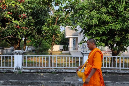 ภาพ No.136091:พระธรรมทายาท โครงการบวชพระนานาชาติ AEC & WAB ผู้บริหารรุ่นที่ 2 บิณฑบาต ณ หอฉันคุณยายอาจารย์ฯ เมืองแก้วมณี หมู่บ้านแก้วพุทธรักษา วันที่ 28 เมษายน พ.ศ. 2567