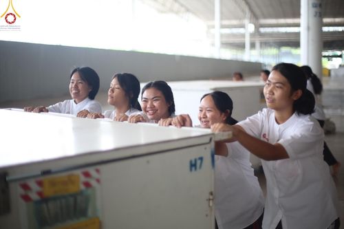 ภาพ No.59686:V.39 ทุ่มสุดใจ ธรรมชัย 80 ปี การเตรียมงาน การปฏิบัติงาน ของเจ้าหน้าที่หน่วยงานต่างๆ เพื่อพิธีฉลองอายุวัฒนมงคล 80 ปี หลวงพ่อธัมมชโย และรับถวายมหาสังฆทาน 10,000 กว่าวัดทั่วประเทศ ในวันคุ้มครองโลก จันทร์ที่ 22 เมษายน พ.ศ. 2567