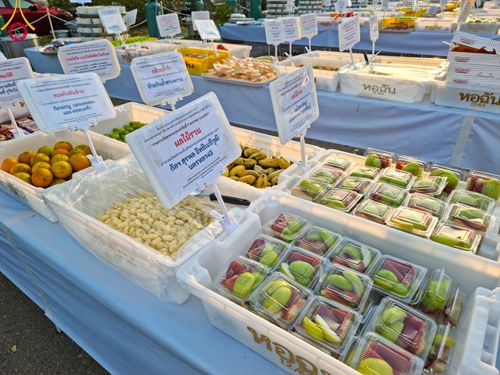 ภาพ No.108499:ถวายภัตตาหารเป็นสังฆทาน แด่คณะพระธรรมยาตราฯ ในโครงการธรรมยาตรากตัญญูบูชา มหาปูชนียาจารย์ พระมงคลเทพมุนี(สด จนฺทสโร) พระผู้ปราบมาร อนุสรณ์สถาน 7 แห่ง ปีที่ 12 วันที่ 7 มกราคม พ.ศ. 2567 ณ อนุสรณ์สถานโลตัสแลนด์ จ.สุพรรณบุรี