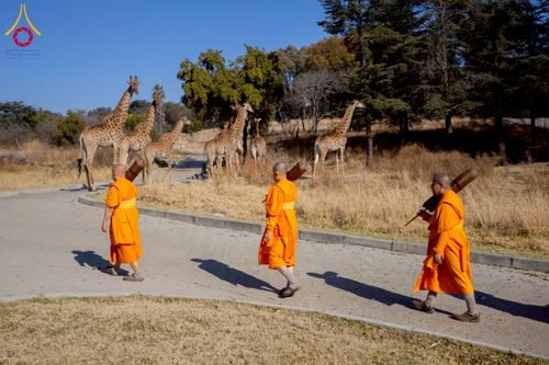 ภาพ No.232886:วันที่ 1 กรกฏาคม พ.ศ. 2568 Dhammayatra in South Africa 2025 ธรรมยาตราแอฟริกาใต้ — เส้นทางแห่งสติ สมาธิ และปัญญา ธรรมทายาทที่ได้อบรมโครงการบรรพชาอุปสมบทหมู่ครั้งที่ 2 ณ วัดพระธรรมกายโจฮันเนสเบิร์ก ประเทศแอฟริกาใต้