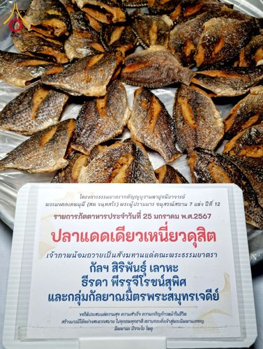 ภาพ No.118767:พิธีถวายภัตตาหารเป็นสังฆทาน แด่คณะพระธรรมยาตรา วันที่ 25 มกราคม พ.ศ. 2567 ณ อนุสรณ์สถานบางนางแท่น จ.นครปฐม