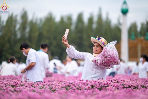 ภาพ No.104062:สาธุชนร่วมรับบุญเก็บดอกเบญจทรัพย์ ในวันอาทิตย์ที่ 24 ธันวาคม พ.ศ. 2566 ณ ทุ่งสวรรค์ตะวันฉาย บริเวณวัดพระธรรมกาย จ.ปทุมธานี