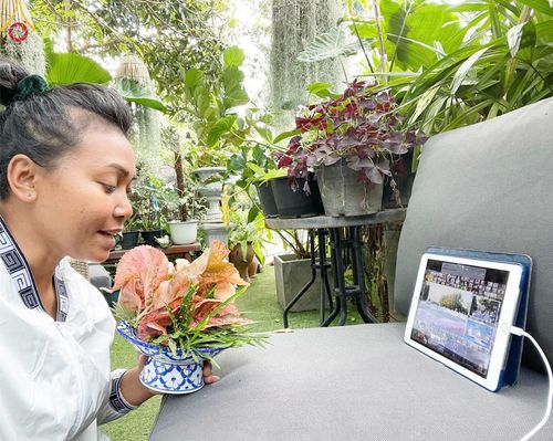 ภาพ No.42589:ประมวลภาพธรรมยาตรา ปีที่ 10  ประจำวันที่ 22 มกราคม พ.ศ. 2565 