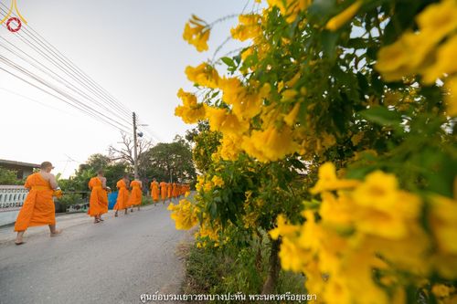 ภาพ No.42075:พิธีตัดปอยผม ปลงผม ขอขมารับผ้าไตรและพิธีบรรพชา ในโครงการอุปสมบท บูชาธรรมมหาปูชนียาจารย์ ประจำปี 2564 ชุดที่ 20