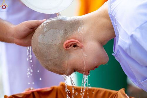 ภาพ No.47331:ประมวลภาพพิธีปลงผม ในโครงการบรรพชาอุปสมบทหมู่ ภาคฤดูฝน 2565