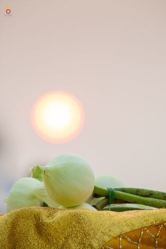 ภาพ No.44218:ประมวลภาพพิธีเวียนประทักษิณ, พิธีวันทาพระมหาธรรมกายเจดีย์ และพิธีขอขมารับผ้าไตร โครงการบวชภาคฤดูร้อน พ.ศ. 2565