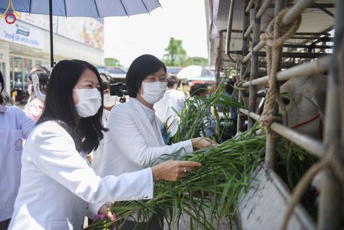 ภาพ No.49792:ประมวลภาพพิธีสักการะรูปหล่อพระมงคลเทพมุนี หลวงปู่วัดปากน้ำ ณ ห้างทวีกิจคอมเพล็กซ์ อ.เมือง จ.สระบุรี