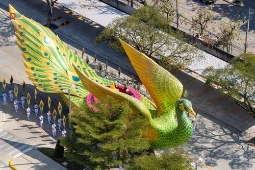 ภาพ No.42674:พิธีอัญเชิญมยุรนาวากาศ ประดิษฐาน ณ อาคาร 100 ปี เนื่องในวันคล้ายวันเกิด ครบ 113 ปี คุณยายอาจารย์มหารัตนอุบาสิกาจันทร์ ขนนกยูง