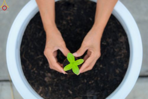 ภาพ No.52551:ประมวลภาพวันคล้ายวันเกิดครบรอบ 138 ปี พระมงคลเทพมุนี (สด จนฺทสโร) พระผู้ปราบมาร ชุดที่ 2