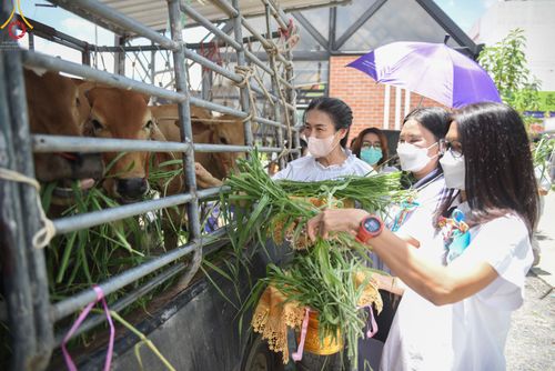 ภาพ No.49795:ประมวลภาพพิธีสักการะรูปหล่อพระมงคลเทพมุนี หลวงปู่วัดปากน้ำ ณ ห้างทวีกิจคอมเพล็กซ์ อ.เมือง จ.สระบุรี