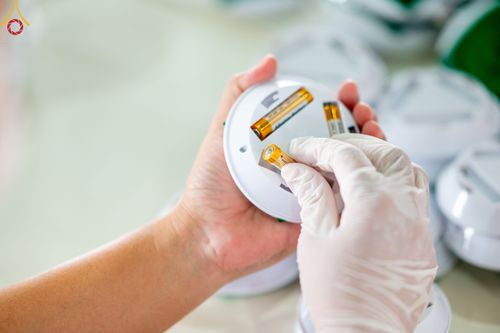 ภาพ No.49441:ประมวลภาพสาธุชนร่วมรับบุญ แกะถ่าน Led วันที่ 10 สิงหาคม พ.ศ. 2565 ณ วัดพระธรรมกาย