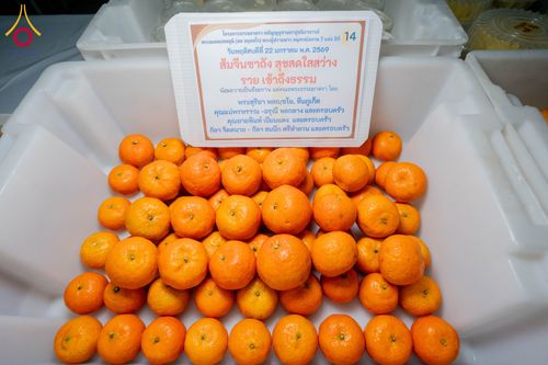 ภาพ No.300249:วันที่ 22 มกราคม พ.ศ. 2569 พิธีถวายภัตตาหารเป็นสังฆทาน แด่พระธรรมยาตรา ณ อนุสรณ์สถานบางปลา วัดบางปลา อำเภอบางเลน จังหวัดนครปฐม ในโครงการธรรมยาตรา กตัญญูบูชา มหาปูชนียาจารย์ พระมงคลเทพมุนี(สด จนฺทสโร) พระผู้ปราบมาร อนุสรณ์สถาน 7 แห่ง ปีที่ 14