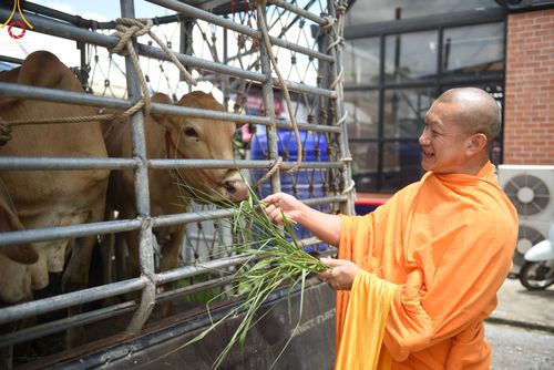 ภาพ No.49796:ประมวลภาพพิธีสักการะรูปหล่อพระมงคลเทพมุนี หลวงปู่วัดปากน้ำ ณ ห้างทวีกิจคอมเพล็กซ์ อ.เมือง จ.สระบุรี