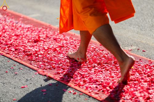 ภาพ No.42151:ประมวลภาพธรรมยาตรา ปีที่ 10  ประจำวันที่ 12 มกราคม พ.ศ. 2565