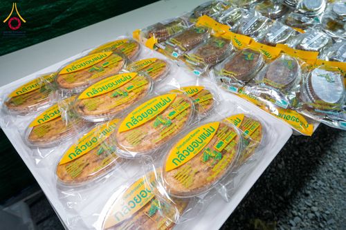 ภาพ No.301102:วันที่ 23 มกราคม พ.ศ. 2569 พิธีถวายภัตตาหารเป็นสังฆทาน แด่พระธรรมยาตรา ณ อนุสรณ์สถานบางปลา วัดบางปลา อำเภอบางเลน จังหวัดนครปฐม ในโครงการธรรมยาตรา กตัญญูบูชา มหาปูชนียาจารย์ พระมงคลเทพมุนี(สด จนฺทสโร) พระผู้ปราบมาร อนุสรณ์สถาน 7 แห่ง ปีที่ 14