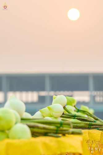 ภาพ No.44222:ประมวลภาพพิธีเวียนประทักษิณ, พิธีวันทาพระมหาธรรมกายเจดีย์ และพิธีขอขมารับผ้าไตร โครงการบวชภาคฤดูร้อน พ.ศ. 2565