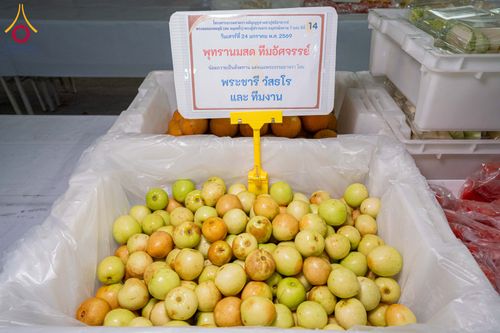 ภาพ No.301843:วันที่ 24 มกราคม พ.ศ. 2569 พิธีถวายภัตตาหารเป็นสังฆทาน แด่พระธรรมยาตรา ณ อนุสรณ์สถานบางปลา วัดบางปลา อำเภอบางเลน จังหวัดนครปฐม ในโครงการธรรมยาตรา กตัญญูบูชา มหาปูชนียาจารย์ พระมงคลเทพมุนี(สด จนฺทสโร) พระผู้ปราบมาร อนุสรณ์สถาน 7 แห่ง ปีที่ 14