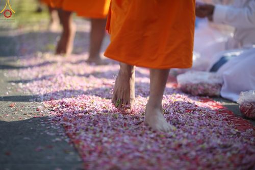 ภาพ No.195462:พิธีต้อนรับพระธรรมยาตรา ณ อนุสรณ์สถานลำดับที่ 4 สถานที่เกิดด้วยกายธรรม วัดโบสถ์(บน) ต.บางคูเวียง จ.นนทบุรี ในโครงการธรรมยาตรา กตัญญูบูชา มหาปูชนียาจารย์ พระมงคลเทพมุนี(สด จนฺทสโร) พระผู้ปราบมาร อนุสรณ์สถาน 7 แห่ง ปีที่ 13 วันที่ 15 มกราคม พ.ศ. 2568