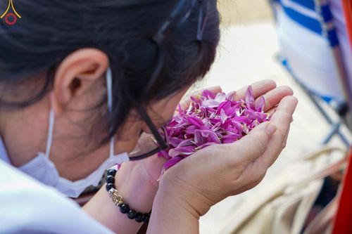 ภาพ No.128995:พระธรรมยาตราเดินธรรมยาตรา ณ ชุมชนรอบศูนย์ปฏิบัติธรรมภาคใต้ อ.บางกล่ำ จ.สงขลา วันที่ 10 มีนาคม พ.ศ. 2567