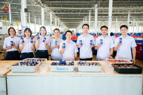 ภาพ No.181017:การอบรมโครงการตอบปัญหาธรรมะ "ทางก้าวหน้า" ครั้งที่ 42 SUPERVISOR รอบ Final Course วันที่ 23-24 พฤศจิกายน พ.ศ. 2567 ณ ห้องแก้วสารพัดนึก 2 วัดพระธรรมกาย