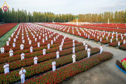 ภาพ No.185458:กิจกรรมเก็บดอกแพงรวย วันอาทิตย์ที่ 22 ธันวาคม พ.ศ. 2567 ณ ทุ่งสวรรค์ ตะวันฉาย วัดพระธรรมกาย