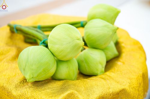 ภาพ No.51022:ประมวลภาพพิธีบรรพชาอุปสมบท โครงการบรรพชาอุปสมบทหมู่ รุ่นวันครูวิชชาธรรมกาย ปีพุทธศักราช 2565