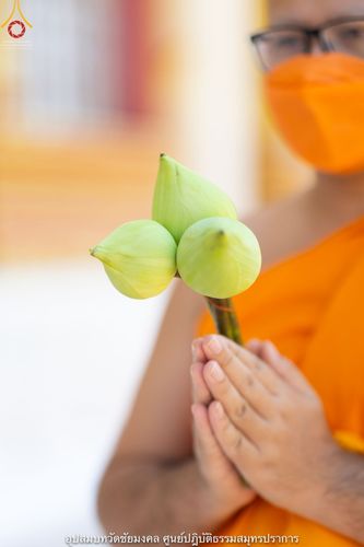 ภาพ No.40198:พิธีตัดปอยผม ปลงผม ขอขมารับผ้าไตรและพิธีบรรพชา ในโครงการอุปสมบท บูชาธรรมมหาปูชนียาจารย์ ประจำปี 2564 ชุดที่ 10