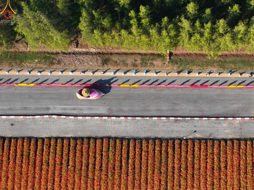 ภาพ No.42378:ประมวลภาพธรรมยาตรา ปีที่ 10  ประจำวันที่ 16 มกราคม พ.ศ. 2565