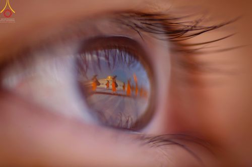 ภาพ No.42921:ประมวลภาพธรรมยาตรา ปีที่ 10 ประจำวันที่ 25 มกราคม พ.ศ. 2565