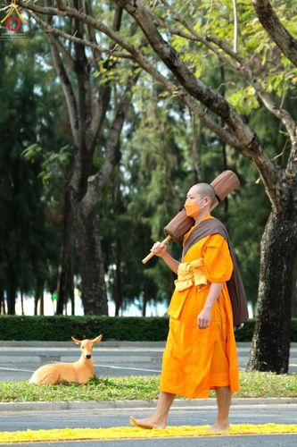 ภาพ No.41294:ประมวลภาพธรรมยาตรา ปีที่ 10  ประจำวันที่ 2 มกราคม พ.ศ. 2565 ชุดที่ 1