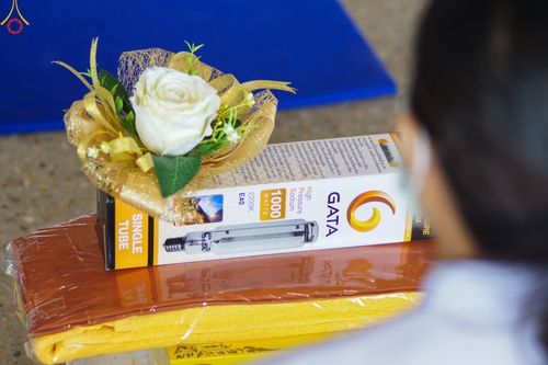 ภาพ No.48217:ประมวลภาพพิธีถวายผ้าอาบน้ำฝน และประทีปโคมไฟ เนื่องในวันอาสาฬหบูชา ประจำปี 2565