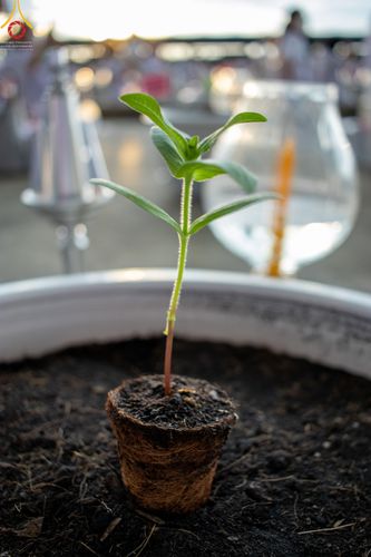 ภาพ No.52568:ประมวลภาพวันคล้ายวันเกิดครบรอบ 138 ปี พระมงคลเทพมุนี (สด จนฺทสโร) พระผู้ปราบมาร ชุดที่ 2