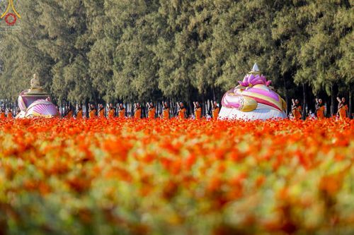 ภาพ No.42382:ประมวลภาพธรรมยาตรา ปีที่ 10  ประจำวันที่ 16 มกราคม พ.ศ. 2565