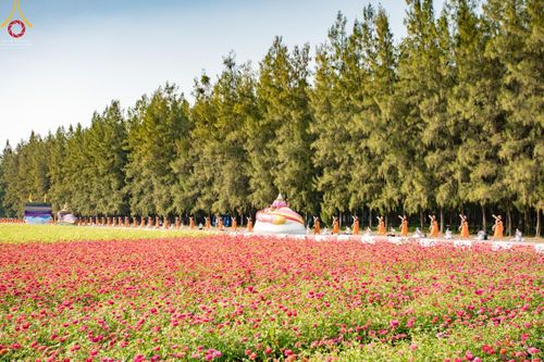 ภาพ No.41714:ประมวลภาพธรรมยาตรา ปีที่ 10  ประจำวันที่ 8 มกราคม พ.ศ. 2565