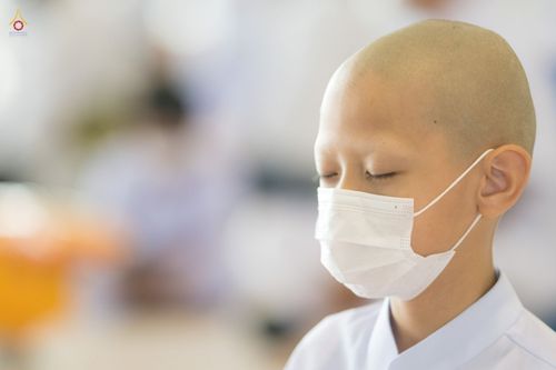 ภาพ No.44244:ประมวลภาพพิธีเวียนประทักษิณ, พิธีวันทาพระมหาธรรมกายเจดีย์ และพิธีขอขมารับผ้าไตร โครงการบวชภาคฤดูร้อน พ.ศ. 2565