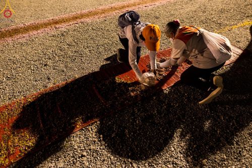 ภาพ No.108825:V.6 บุญเข้า การเตรียมงาน เก็บงาน การรับบุญของเจ้าหน้าที่หน่วยงานต่างๆ เพื่อโครงการธรรมยาตรา กตัญญูบูชามหาปูชนียาจารย์ พระมงคลเทพมุนี (สด จนฺทสโร) พระผู้ปราบมาร อนุสรณ์สถาน 7 แห่ง ปีที่ 12 ระหว่างวันที่ 2 - 31 มกราคม พ.ศ.2567