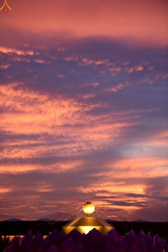 ภาพ No.253065:วันที่ 10 ตุลาคม พ.ศ. 2568 พิธีปลูกต้นทรัพย์บานชื่น ณ ลานธรรม วัดพระธรรมกาย