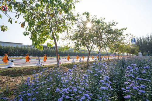 ภาพ No.41719:ประมวลภาพธรรมยาตรา ปีที่ 10  ประจำวันที่ 8 มกราคม พ.ศ. 2565